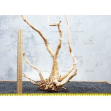 Корень Азалии №54 для аквариума