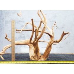 Корень Азалии №55 для аквариума