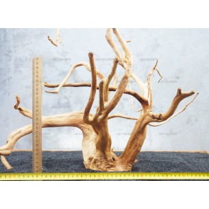 Корень Азалии №55 для аквариума
