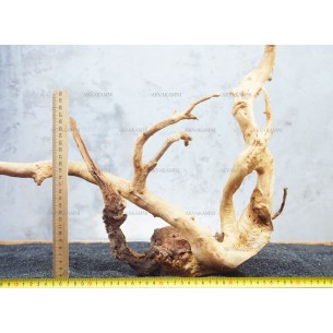 Корень Азалии №56 для аквариума