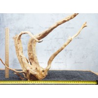 Корень Азалии №58 для аквариума