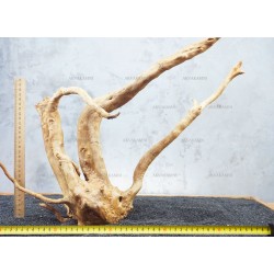 Корень Азалии №58 для аквариума
