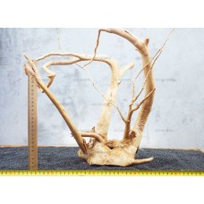Корень Азалии №59 для аквариума