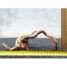 Корень Азалии №60 для аквариума