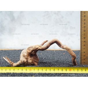 Корень Азалии №60 для аквариума