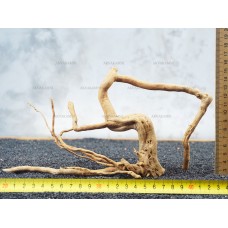 Корень Азалии №61 для аквариума