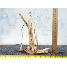 Корінь Азалії №62 для акваріума