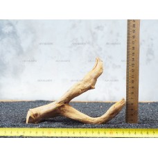 Корінь Азалії №63 для акваріума