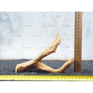 Корень Азалии №63 для аквариума