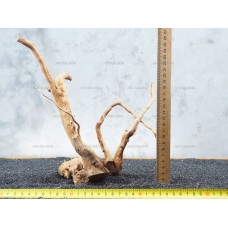 Корінь Азалії №64 для акваріума