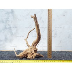 Корень Азалии №65 для аквариума