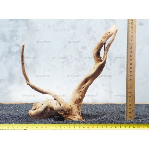 Корень Азалии №69 для аквариума
