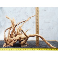 Корень Азалии №70 для аквариума