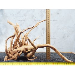 Корень Азалии №70 для аквариума