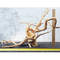 Корень Азалии №71 для аквариума