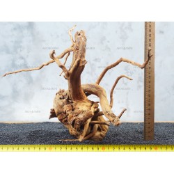 Корень Азалии №73 для аквариума