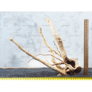 Корень Азалии №74 для аквариума