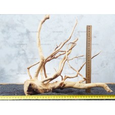 Корінь Азалії №75 для акваріума