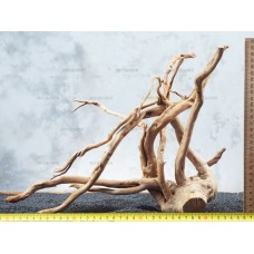 Корень Азалии №76 для аквариума