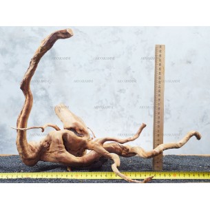 Корень Азалии №78 для аквариума