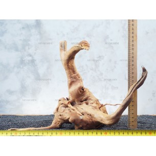 Корень Азалии №80 для аквариума