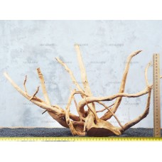 Корень Азалии №81 для аквариума
