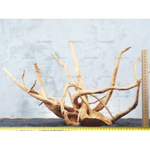 Корень Азалии №81 для аквариума