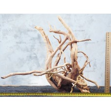 Корень Азалии №83 для аквариума