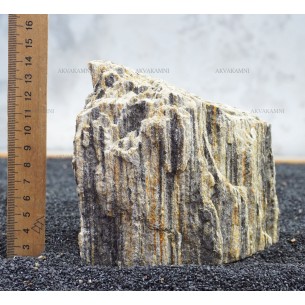 Древесный камень 285