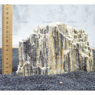 Древесный камень 294 (~1kg)