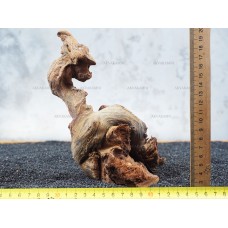 Корень коралловый №86 для аквариума