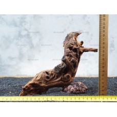Корень коралловый №87 для аквариума