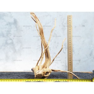 Корень Азалии для аквариума №96