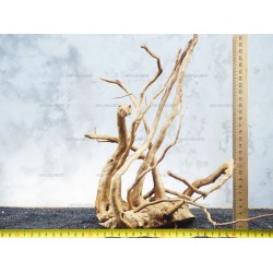 Корінь Азалії для акваріума №98