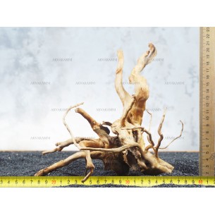 Корень Азалии для аквариума №99