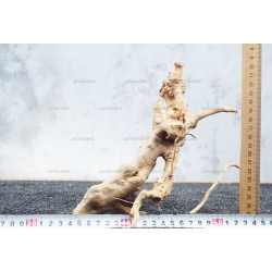 Корень Азалии для аквариума №105