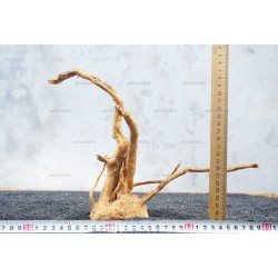 Корень Азалии для аквариума №106