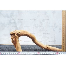 Корень Азалии для аквариума №107