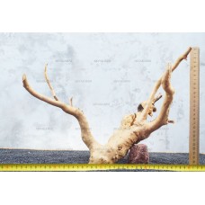 Корень Азалии для аквариума №116