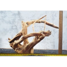 Корень Азалии для аквариума №121