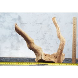 Корень Азалии для аквариума №123