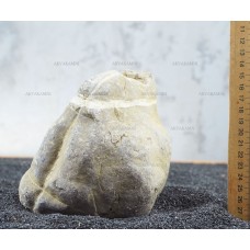 Карпатский камень 122 (1.8кг)