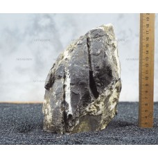Карпатський камінь 124 (2.5кг)