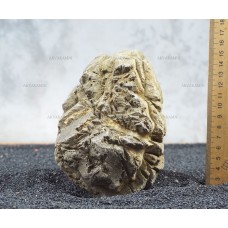 Карпатский камень 129 (1.9кг)