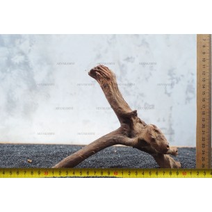 Корень коралловый для аквариума №106