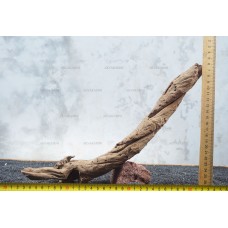 Корень коралловый для аквариума №114