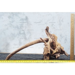 Корень коралловый для аквариума №122