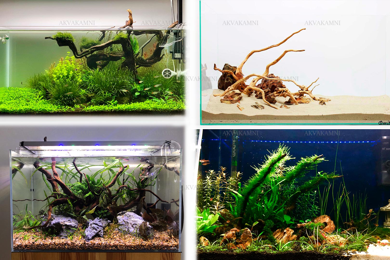 Корень Азалии для аквариума Корень Азалии для аквариума