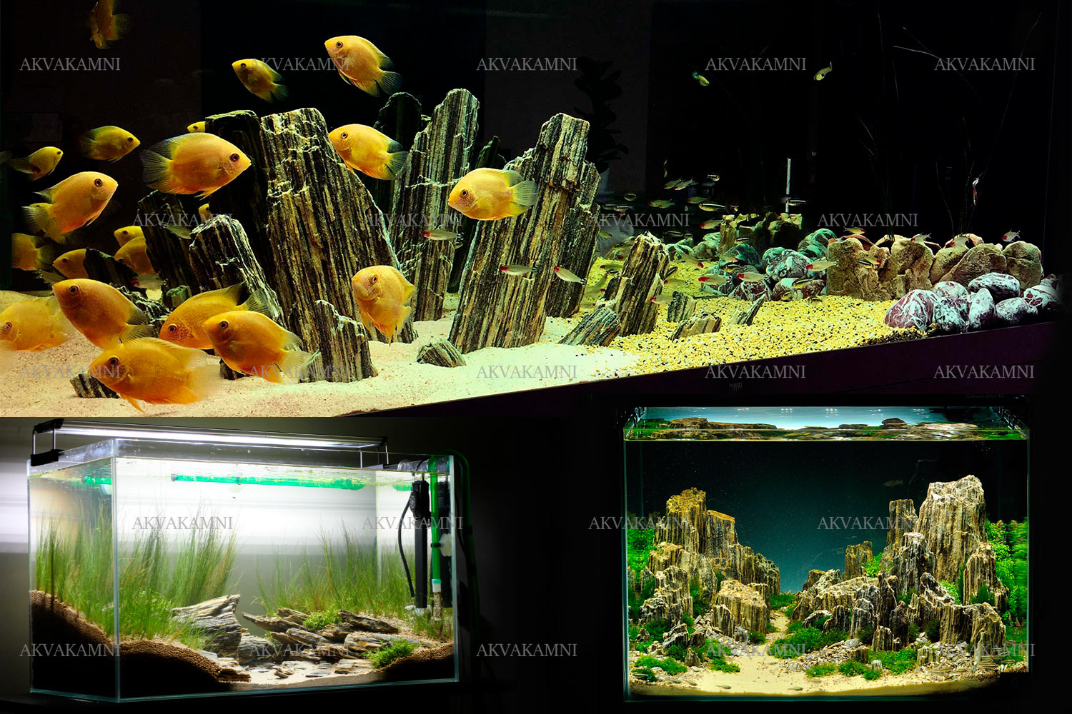 Древесный камень (Мерцающее дерево) в аквариуме Древесный камень (Мерцающее дерево) в аквариуме