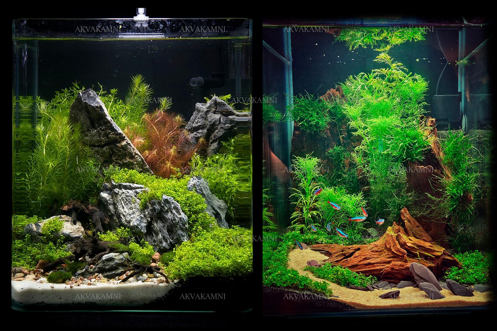 дизайн нано аквариума